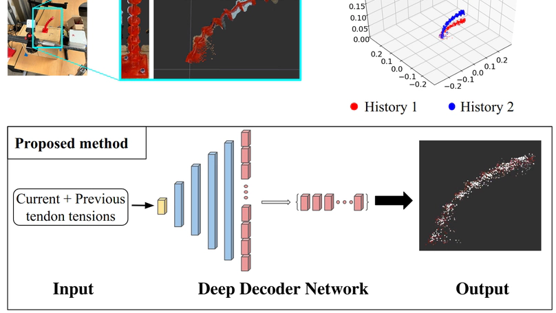Accounting for Hysteresis in the Forward Kinematics of Nonlinearly-Routed Tendon-Driven Continuum Robots via a Learned Deep Decoder Network